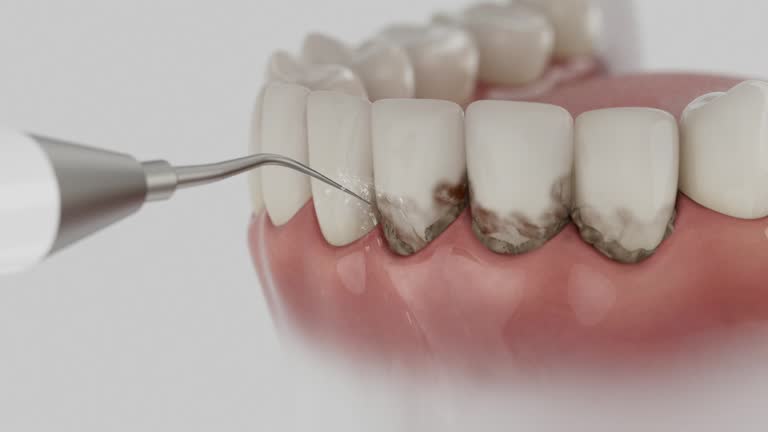 Reliable Dental contractor in Puyallup, WA by Dentist Open Now
